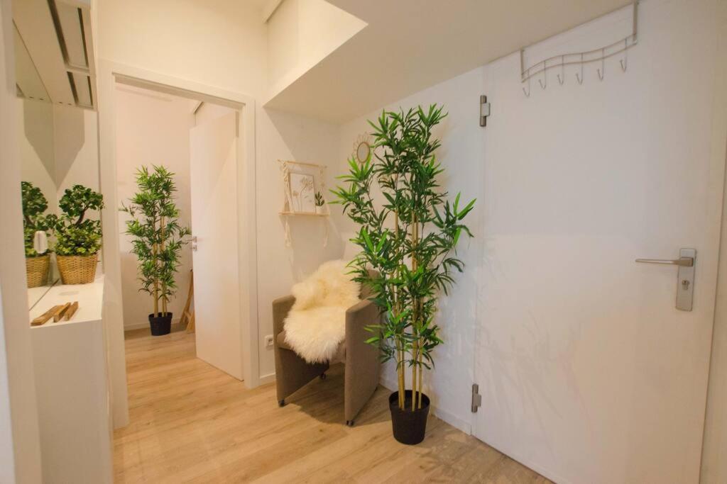 Casarina - Gemuetliches Apartment Im Zentrum Augsburg Eksteriør bilde