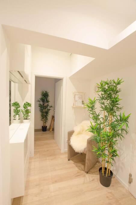 Casarina - Gemuetliches Apartment Im Zentrum Augsburg Eksteriør bilde